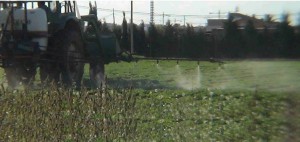 Foto_articulo_pesticidas