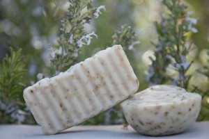 Romero 8 Rosmarin_02